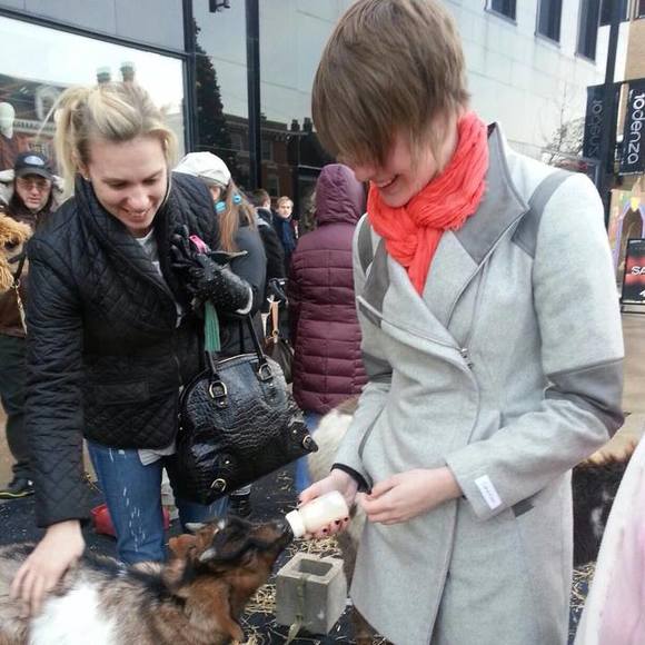 Meet your Posher, Grace - Picture 1 of 1